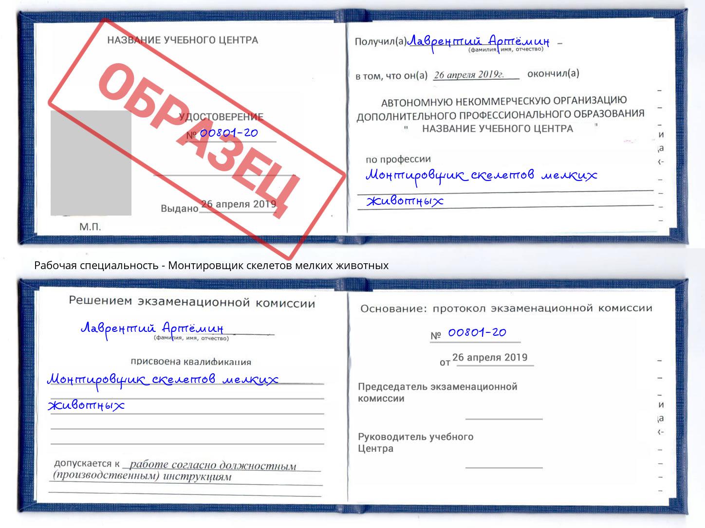 Монтировщик скелетов мелких животных Малоярославец